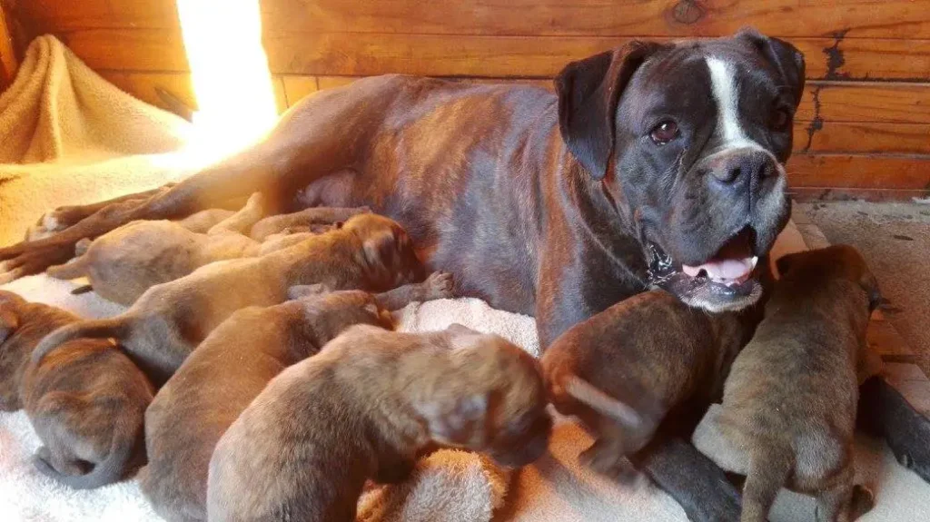 Esther y los niños