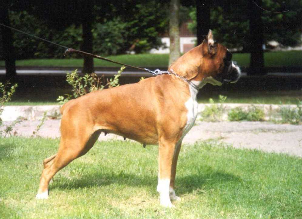 yermacuerpo1